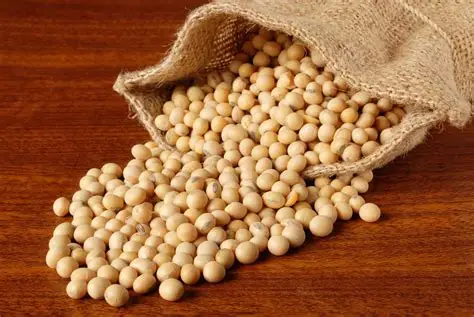 Soybeans