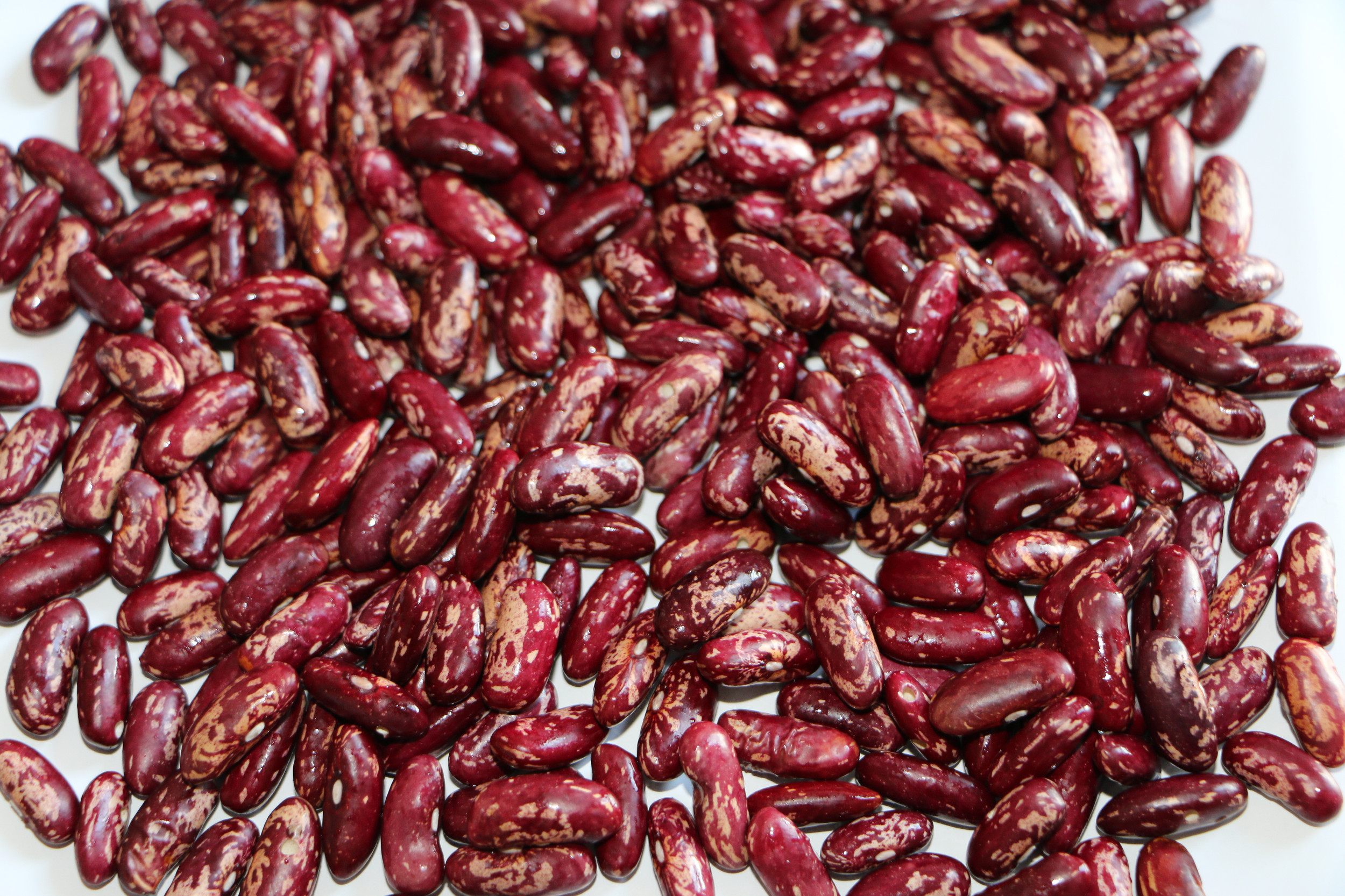 Red Speckled Beans